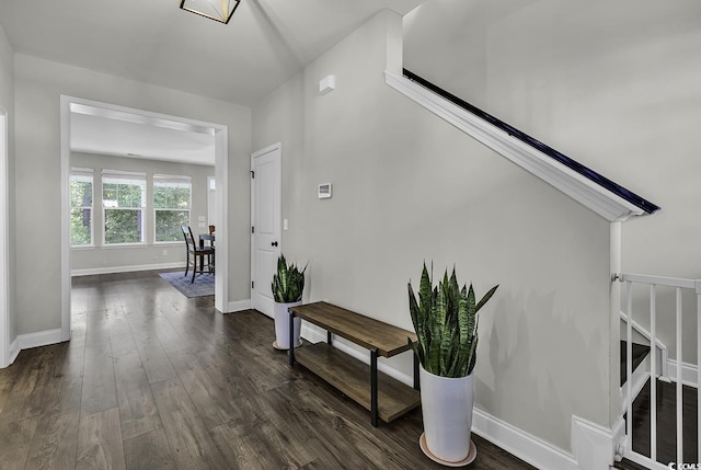 6239 Chadderton Cir, Myrtle Beach, SC 29579 - hallway featuring stairs, baseboards, and dark wood-type flooring