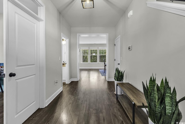 6239 Chadderton Cir, Myrtle Beach, SC 29579 - hall featuring dark wood-style flooring and baseboards