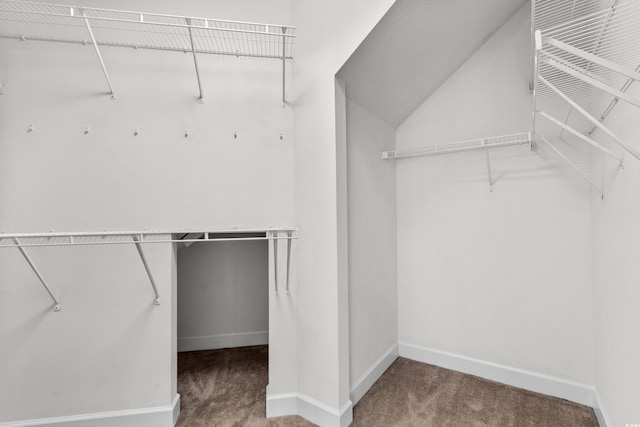 spacious closet featuring carpet floors