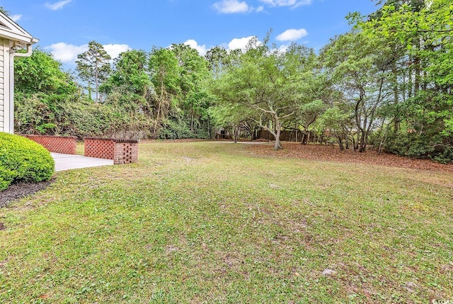 1729 Longleaf Dr, Myrtle Beach, SC 29575 - view of grassy yard