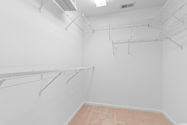 3107 Robyn Ct, Little River, SC 29566 - spacious closet with light carpet