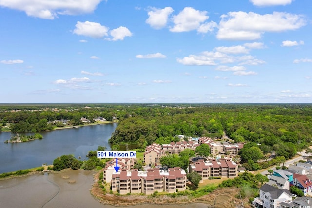 bird's eye view of a heavily wooded area and a nearby body of water