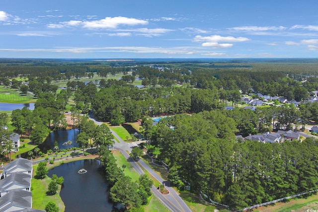 9232 Goodwill Ct, Myrtle Beach, SC 29579 - aerial overview of property's location with a nearby body of water, a heavily wooded area, and nearby suburban area