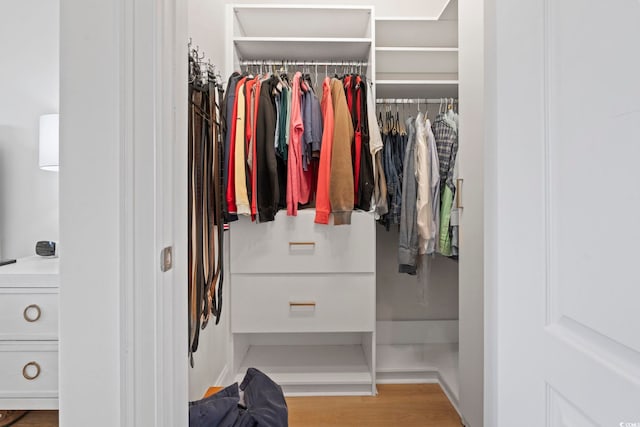 view of closet