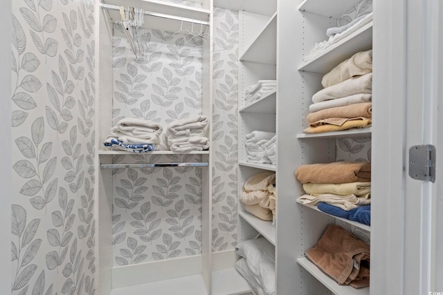 view of walk in closet