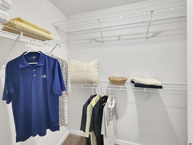 view of walk in closet