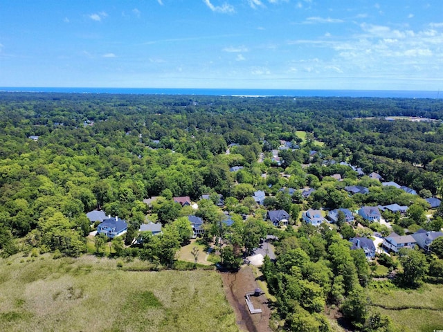 drone / aerial view of a forest
