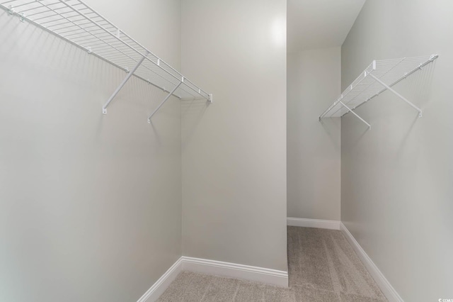 walk in closet with carpet flooring