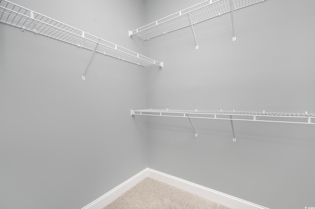 walk in closet featuring carpet floors