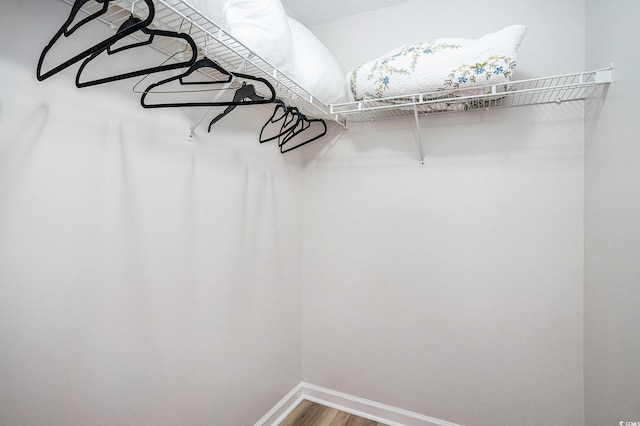 spacious closet featuring wood finished floors