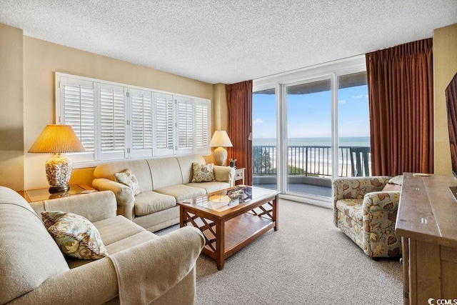 200 76th Ave N Unit 301, Myrtle Beach, SC 29572 - photo 8