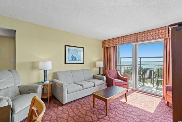 504 N Ocean Blvd N Unit 309, Myrtle Beach, SC 29577 - living area with a textured ceiling