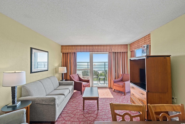 504 N Ocean Blvd N Unit 309, Myrtle Beach, SC 29577 - living room featuring a textured ceiling