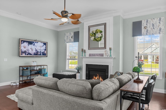 living area with baseboards, ceiling fan, dark wood-type flooring, a glass covered fireplace, and ornamental molding