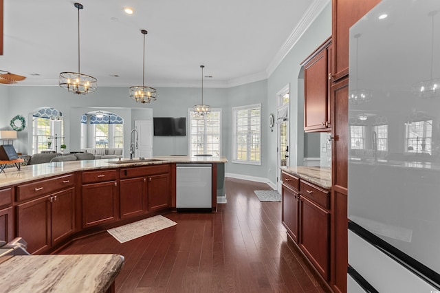 kitchen with a sink, dishwasher, ornamental molding, dark wood finished floors, and a chandelier