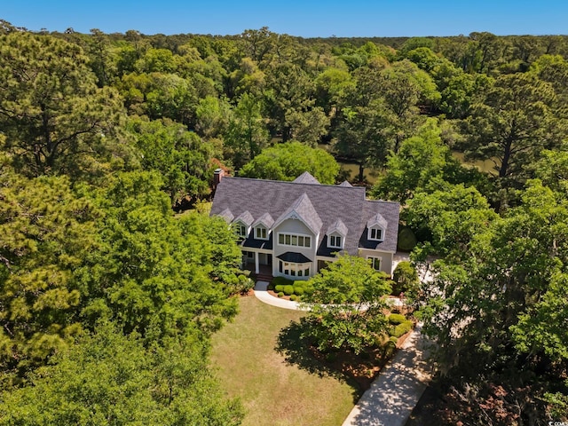 352 Old Carriage Loop, Georgetown, SC 29440 - view from above of property featuring a forest