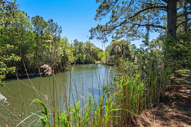 352 Old Carriage Loop, Georgetown, SC 29440 - water view