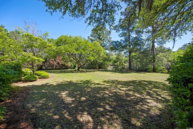 352 Old Carriage Loop, Georgetown, SC 29440 - view of grassy yard