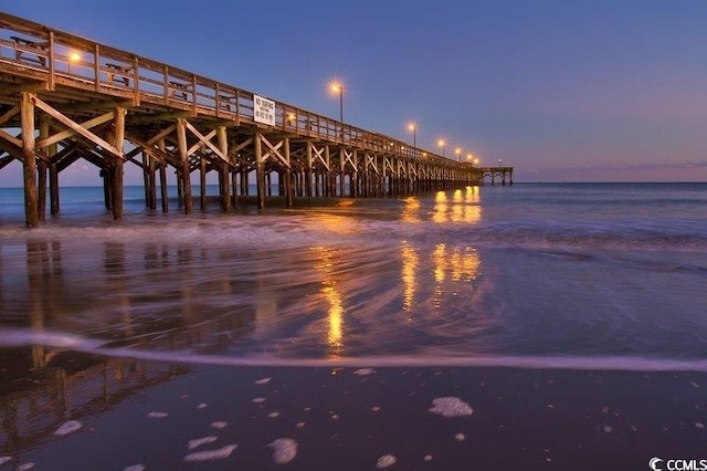 water view featuring a pier