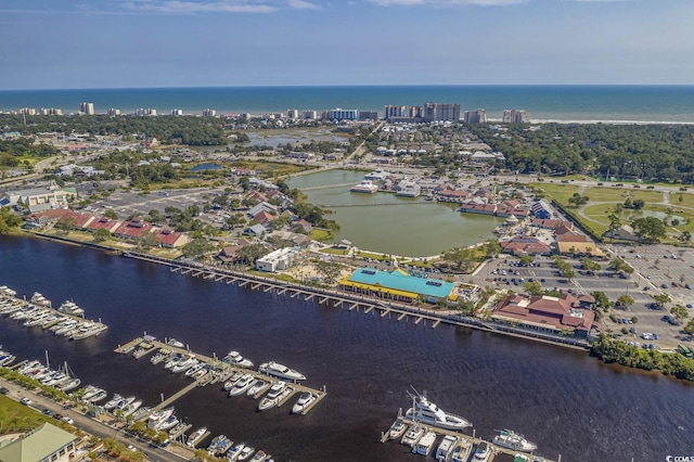view of property location featuring a large body of water and numerous boat docks