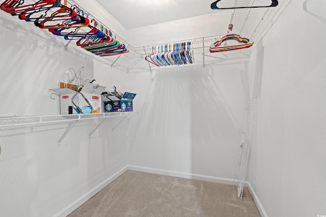 480 Dandelion Ln, Myrtle Beach, SC 29579 - spacious closet with light colored carpet
