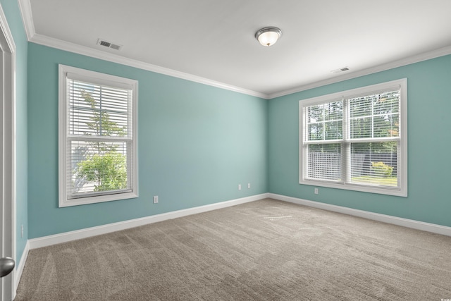 1808 Zodiac Ct, Myrtle Beach, SC 29577 - spare room featuring crown molding, plenty of natural light, baseboards, and carpet flooring