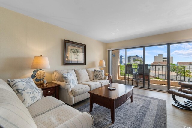 7509 N Ocean Blvd Unit 404, Myrtle Beach, SC 29572 - living room featuring wood finished floors