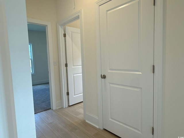 1033 Jase Dr, Longs, SC 29568 - photo 22