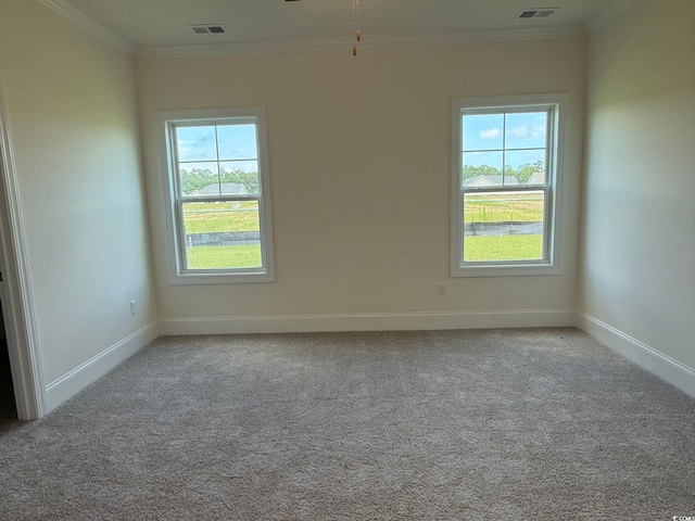 1033 Jase Dr, Longs, SC 29568 - photo 15