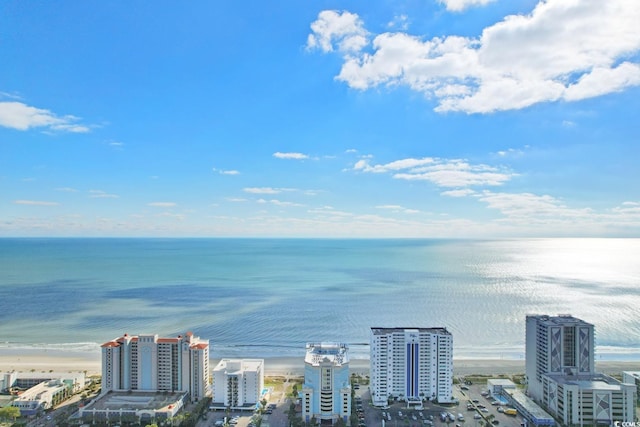 2501 S Ocean Blvd Unit 831, Myrtle Beach, SC 29577 - drone / aerial view of unending shoreline