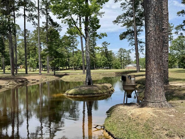 view of community with view of wooded area and a water view
