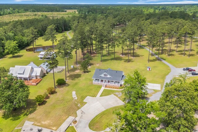 bird's eye view of a forest
