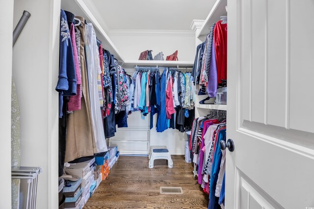 spacious closet with wood finished floors