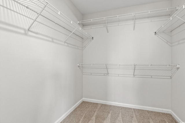 192 Six Mile Creek Dr, Georgetown, SC 29440 - walk in closet featuring carpet