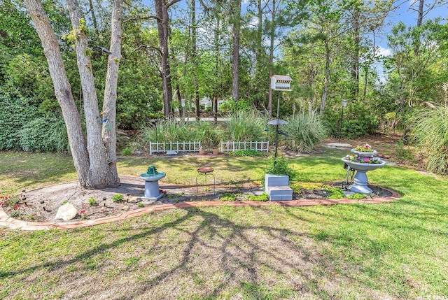 view of grassy yard