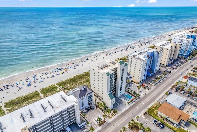 bird's eye view of unending shoreline