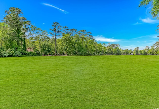 1206 Spinnaker Dr, North Myrtle Beach, SC 29582 - view of green lawn
