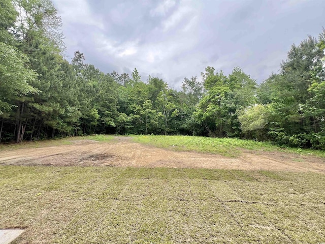 2593 Main St, Loris, SC 29569 - view of yard with a forest view