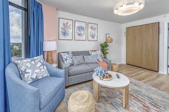 1501 S Ocean Blvd Unit 1250, Myrtle Beach, SC 29577 - living room featuring wood finished floors and a textured ceiling
