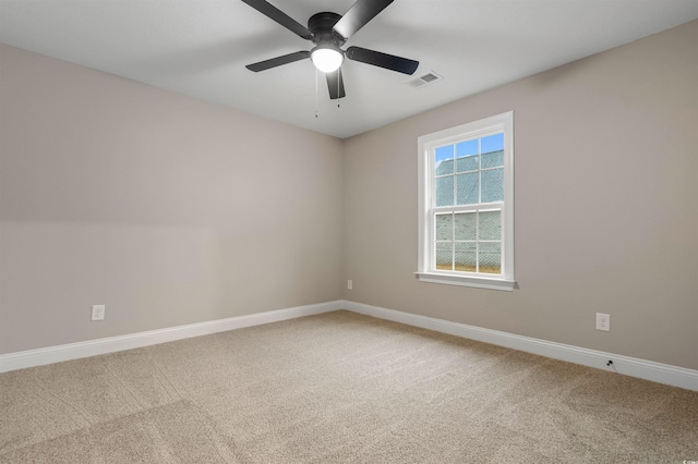 2260 Pearl Rd, Galivants Ferry, SC 29544 - photo 23