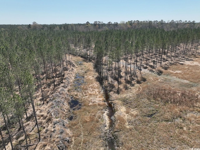 TBD Dows Rd, Loris, SC 29569