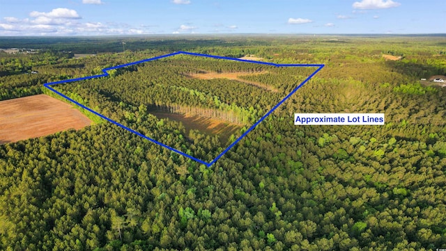 TBD Dows Rd, Loris, SC 29569
