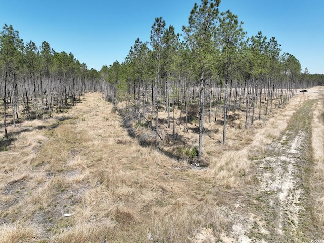 TBD Dows Rd, Loris, SC 29569