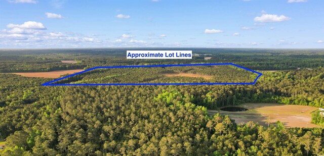 TBD Dows Rd, Loris, SC 29569
