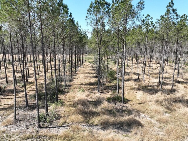 TBD Dows Rd, Loris, SC 29569