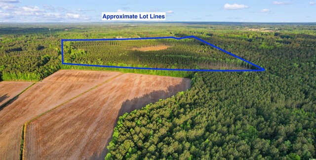 TBD Dows Rd, Loris, SC 29569