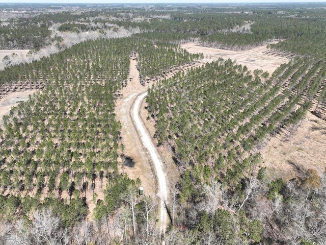 TBD Dows Rd, Loris, SC 29569