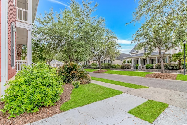 212 Greenwich Dr, Conway, SC 29526 - view of yard