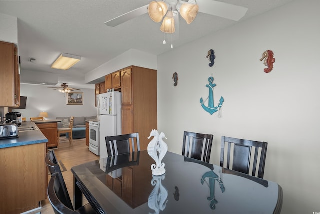 dining space with a ceiling fan and light wood finished floors