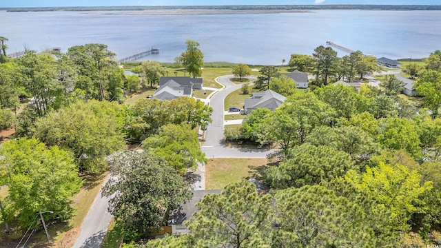 2604 S Bay St, Georgetown, SC 29440 - drone / aerial view of a large body of water